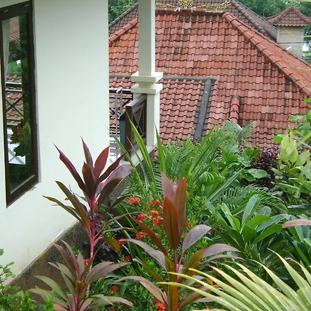 Sinar Bali 2