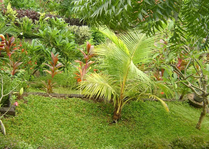 Sinar Bali 2 * アメッド